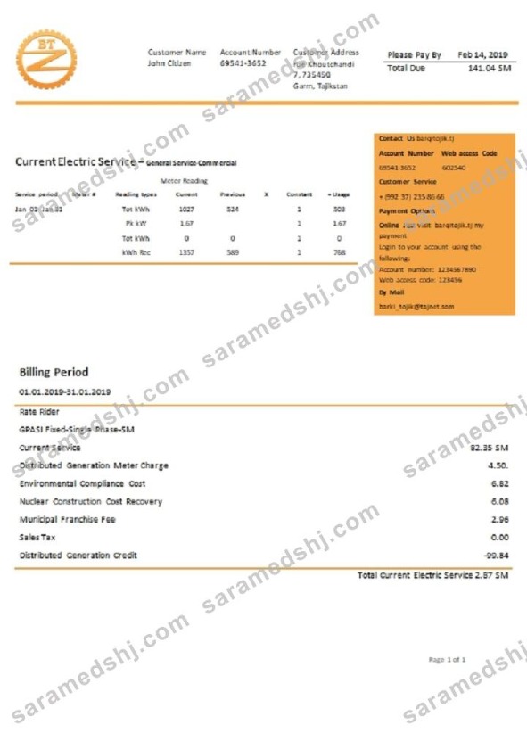 Tajikistan Barqi Tojik Company electricity utility bill template in Word and PDF format